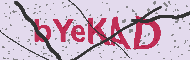 Güvenlik Kodu